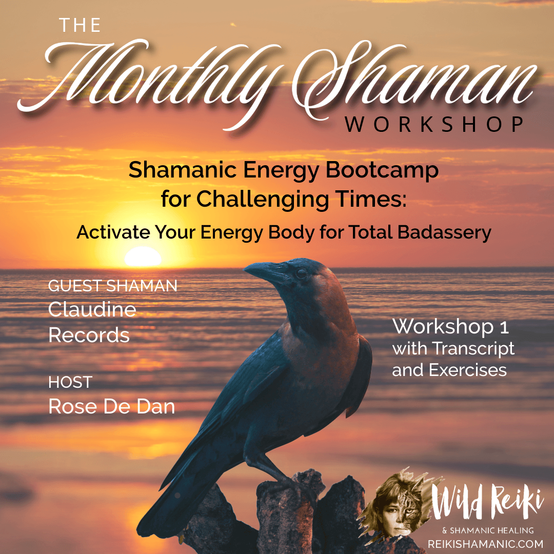 Shamanic Energy Bootcamp for Challenging Times