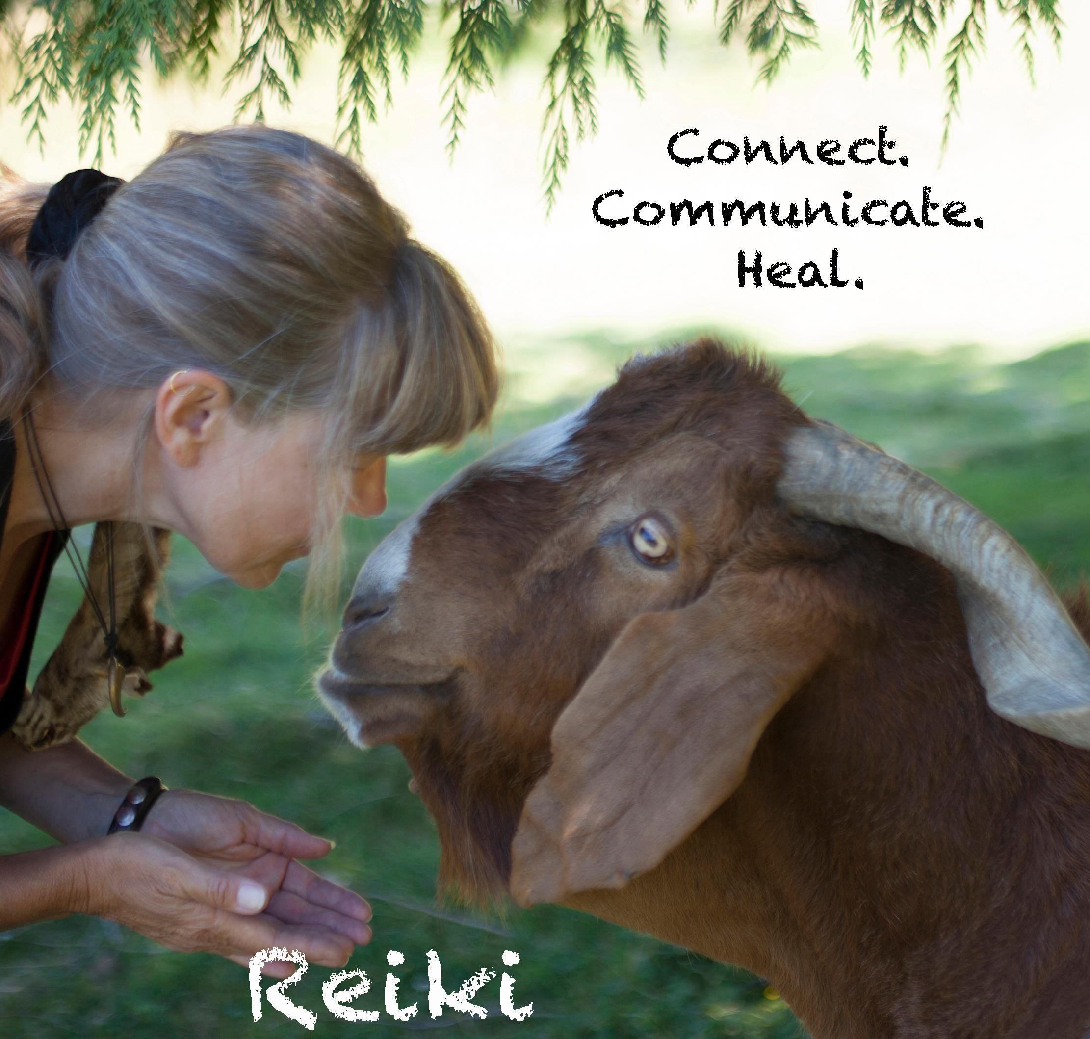 Reiki Level 1 | June 2025