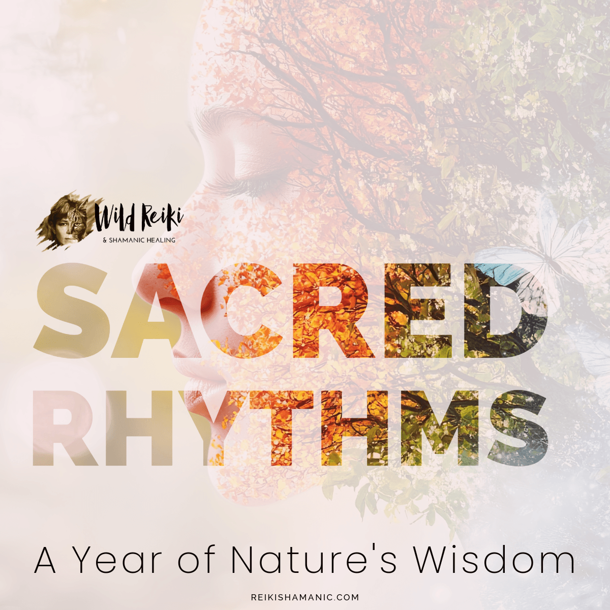 Sacred Rhythms: A Year of Nature's Wisdom